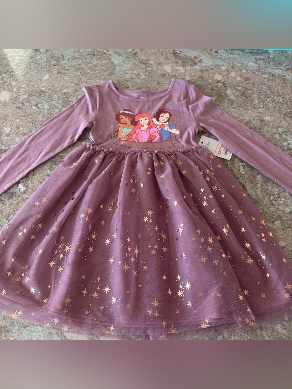 Disney Jumping Beans Princess Tutu Dress